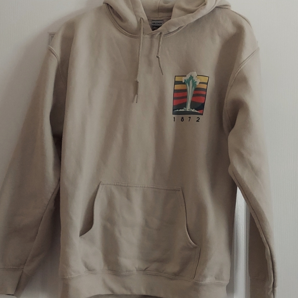 Mens medium, sweatshirt, pullover hoodie. Size medium.